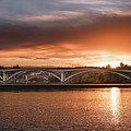 Orange Delight Photograph by Gary Geddes Orange Delight Photograph by Gary Geddes