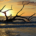 Orange Distant Orange Near by Bruce Gourley