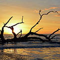 Orange Magic by Bruce Gourley