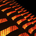 Orange Reptile Scales Digital Art by Phil Perkins Orange Reptile Scales Digital Art by Phil Perkins