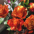 Orange Roses Too Photograph by Brian Watt Orange Roses Too Photograph by Brian Watt