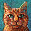 Orange Tabby Cat by Mary DeLave