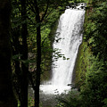 Oregon Drop Photograph by Jim Whitley Oregon Drop Photograph by Jim Whitley