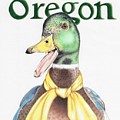 Oregon Duck Drawing by Karrie J Butler Oregon Duck Drawing by Karrie J Butler
