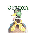 Oregon Duck with Transparent Background Drawing by Karrie J Butler Oregon Duck with Transparent Background Drawing by Karrie J Butler