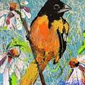 Oriole Painting by Elaine Elliott Oriole Painting by Elaine Elliott