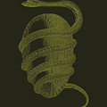 Orphic Egg 1774 Painting by Unknown Orphic Egg 1774 Painting by Unknown
