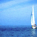 Osprey Sail by Deb Bryce