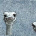 Ostriches Painting by James W Johnson Ostriches Painting by James W Johnson