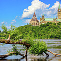 Ottawa River and Parliament, Ottawa, Canada by Tatiana Travelways