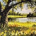 Our Picnic Place by Larry Whitler