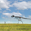 Out For A Walk 4by5 by Rand Ningali
