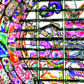Out Of Luck Drawing by Anna Adams Out Of Luck Drawing by Anna Adams