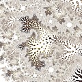 Owl Feather #2 Digital Art by Mary Ann Benoit Owl Feather #2 Digital Art by Mary Ann Benoit