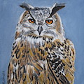 Owl Orange Eyes Painting by Kathie Camara Owl Orange Eyes Painting by Kathie Camara