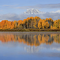 Oxbow Bend Pano Photograph by Wesley Aston Oxbow Bend Pano Photograph by Wesley Aston