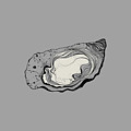 Oyster White Painting by Tony Rubino Oyster White Painting by Tony Rubino