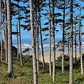 Pacific Ocean at Seabrook 2 Photograph by Jerry Abbott Pacific Ocean at Seabrook 2 Photograph by Jerry Abbott