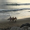Pacific Palisades Surfers Carrying Their Boards Along the Beach Los Angeles California USA 2016 by John Shiron
