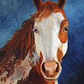 Paint The Midnight Sky Painting by Cheri Wollenberg Paint The Midnight Sky Painting by Cheri Wollenberg