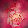 Painted Flamenco Rose Photograph by Theresa Tahara Painted Flamenco Rose Photograph by Theresa Tahara