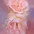 Painted Pink Rose Dream Photograph by Theresa Tahara Painted Pink Rose Dream Photograph by Theresa Tahara