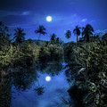 Pale moonlit night Photograph by Micah Offman Pale moonlit night Photograph by Micah Offman