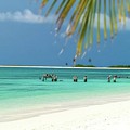 Palm Beach Los Roques Venezuela by Organizacion Bluewater Palm Beach Los Roques Venezuela by Organizacion Bluewater