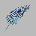 Palm Leaf Elegance by Thursina