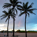 Palm Tree Rainbow, South Beach, Miami, Florida Photograph by Beachtown Views Palm Tree Rainbow, South Beach, Miami, Florida Photograph by Beachtown Views