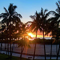 Palm Tree Sunset on Ocean Drive South Beach Miami Photograph by Beachtown Views Palm Tree Sunset on Ocean Drive South Beach Miami Photograph by Beachtown Views
