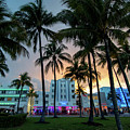 Palm Trees on Ocean Drive South Beach Miami at Night Photograph by Beachtown Views Palm Trees on Ocean Drive South Beach Miami at Night Photograph by Beachtown Views