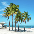 Palm Trees on the Beach, Key Biscayne, Florida Photograph by Beachtown Views Palm Trees on the Beach, Key Biscayne, Florida Photograph by Beachtown Views