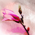 Panache by Gina Harrison