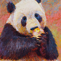 Panda Eating an Apple Pastel by Rita Kirkman Panda Eating an Apple Pastel by Rita Kirkman