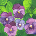 Pansies Mixed Media by Lisa Neuman Pansies Mixed Media by Lisa Neuman