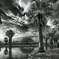 Papago Park Lake in B and W by Dave Dilli