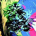 Paradise Flower Painting by Anna Adams Paradise Flower Painting by Anna Adams