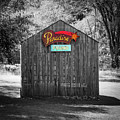Paradise Found Along The Coler Mountain Bike Preserve - Selective Color Photograph by Gregory Ballos Paradise Found Along The Coler Mountain Bike Preserve - Selective Color Photograph by Gregory Ballos