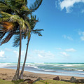 Paradise on the Coast, Pinones, Puerto Rico Photograph by Beachtown Views Paradise on the Coast, Pinones, Puerto Rico Photograph by Beachtown Views