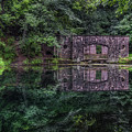 Paradise Reflections Photograph by Brad Bellisle Paradise Reflections Photograph by Brad Bellisle