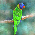 Parrot Bird 80 Mixed Media by Lucie Dumas Parrot Bird 80 Mixed Media by Lucie Dumas