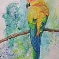 Parrot by Brittany Bell