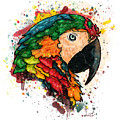 Parrot portrait painting on white background, Macaw parrot Painting by Nadia CHEVREL Parrot portrait painting on white background, Macaw parrot Painting by Nadia CHEVREL
