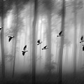 Pass Through by Yancho Sabev Art