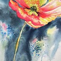 Passion Poppy by Tara Moorman