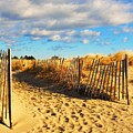 Pathway through the Dunes Photograph by Eunice Miller Pathway through the Dunes Photograph by Eunice Miller