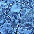 Patterns in the ice of a frozen lake Photograph by Neale And Judith Clark Patterns in the ice of a frozen lake Photograph by Neale And Judith Clark