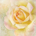 Peace in the Garden by Jill Love