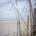 Peaceful Beach by Darrell Foster